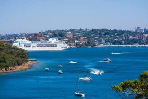 12743850_10154601213824502_8966074611472804134_n